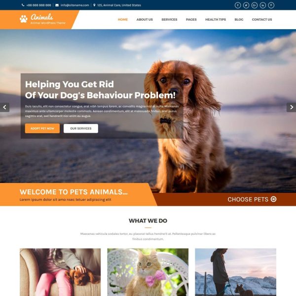 Animals WordPress Theme