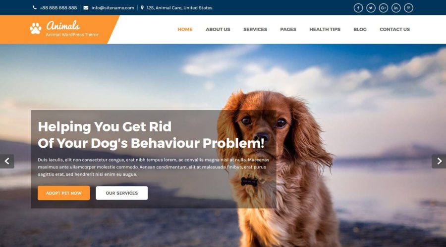 Animals Free WordPress Theme for pet care and pet shops