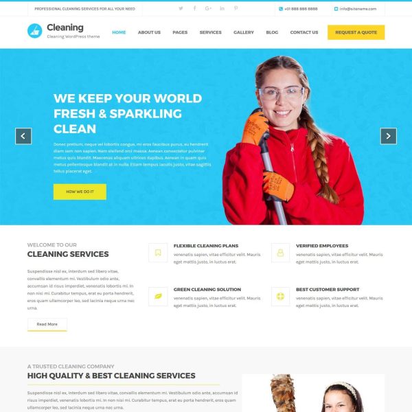 Cleaning WordPress Theme