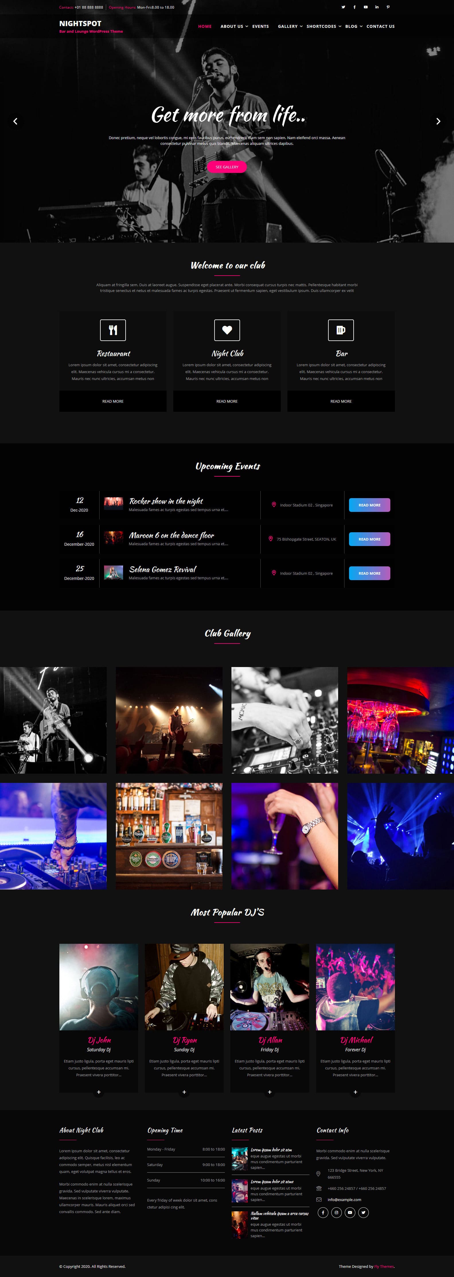 NightSpot WordPress Theme