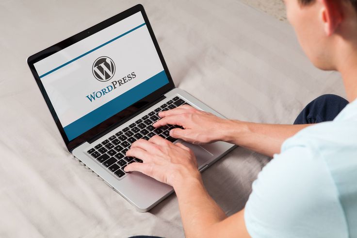 Investing in Their WordPress Site