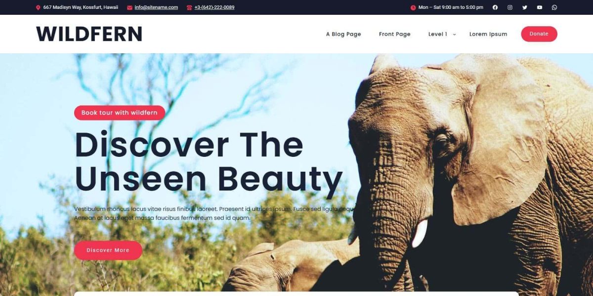 Wildfern FSE WordPress Theme